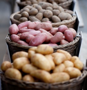 potatoes variety