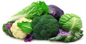 cruciferas