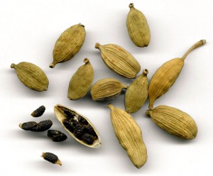 cardamomo