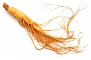 ginseng-root