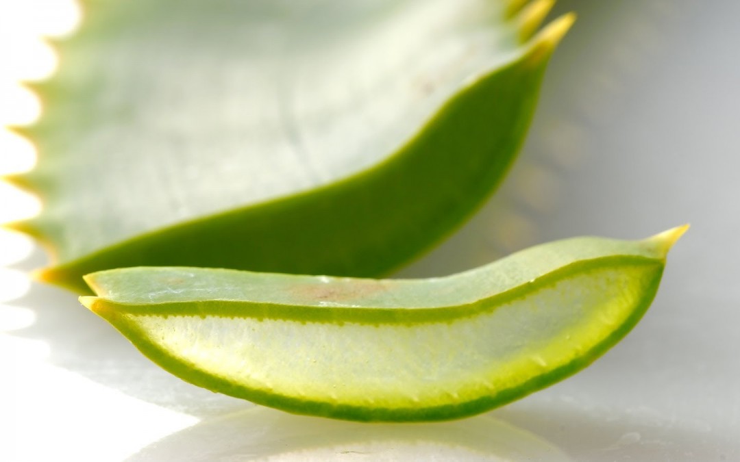 El Aloe Vera en nuestra cocina