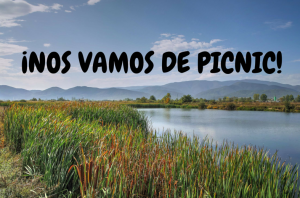 ¡NOS VAMOS DE PICNIC!