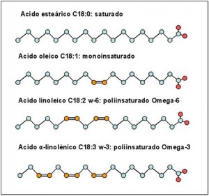 Acidos grasos