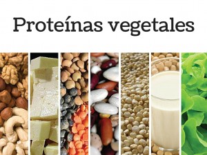Proteínas veganas