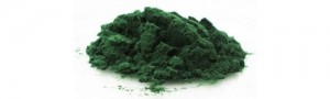 spiruline