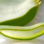 El Aloe Vera en nuestra cocina