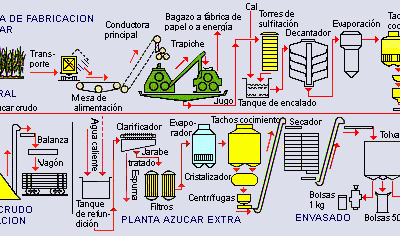 Porqué el azúcar es un «alimento» muerto