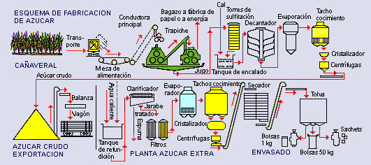 Porqué el azúcar es un «alimento» muerto