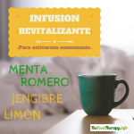 Infusión revitalizante -Especial verano-