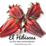 La antioxidante flor de Hibiscus