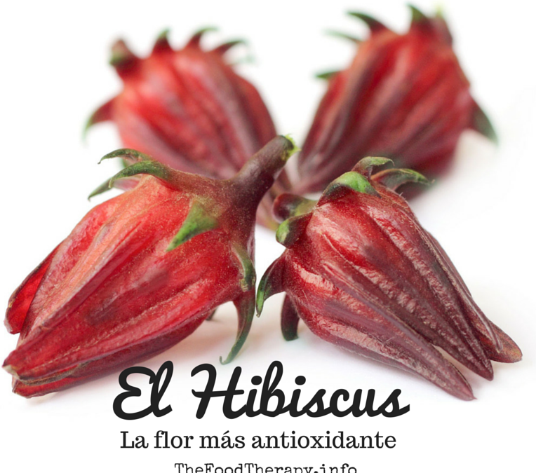 La antioxidante flor de Hibiscus