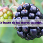 En busca de las moras salvajes