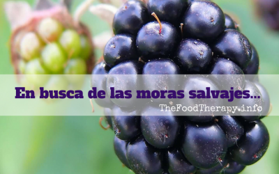 En busca de las moras salvajes