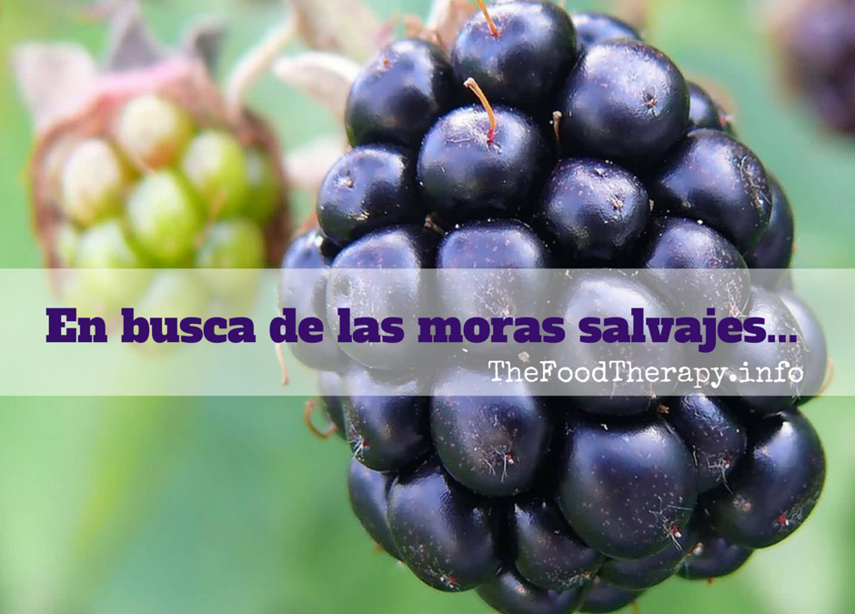 En busca de las moras salvajes